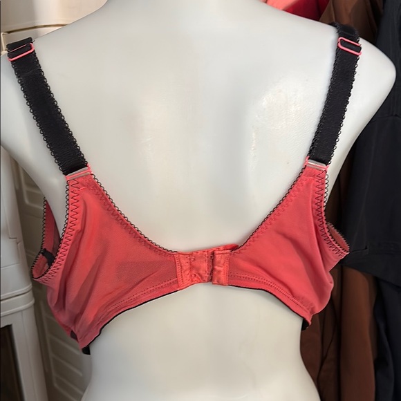 Polka Dot Lace Trim Bra - Picture 2 of 4